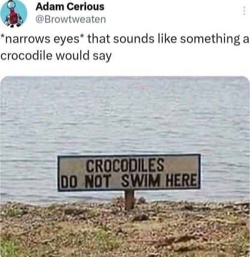 *narrows eyes* that sounds like something a crocodile would say
CROCODILES DO NOT SWIM HERE