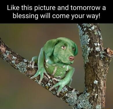 R CRGIERe T Tale Rielaalolo 0 blessing will come your way