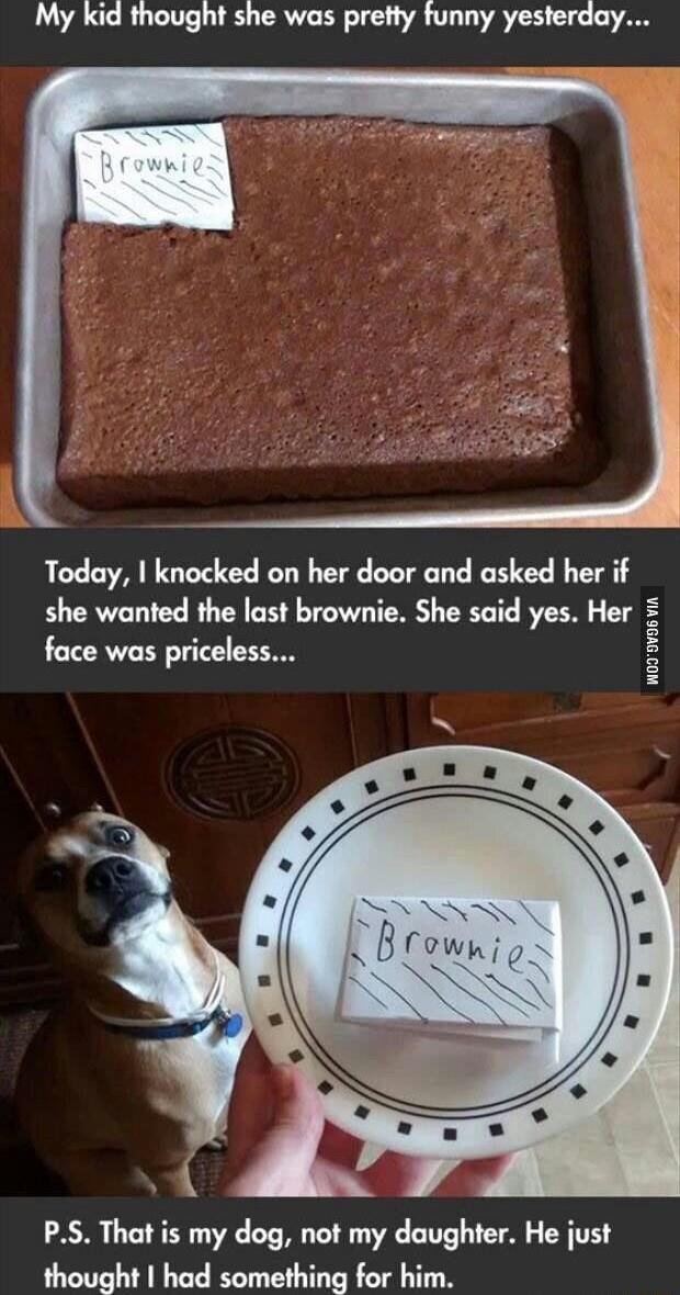 LA CRUTTT LU CRVL RN T TR DA TES L Today knocked on her door and asked her if she wanted the last brownie She said yes Her face was priceless WOy VoSV PS That is my dog not my daughter He just thought had something for him