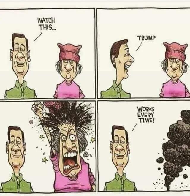 WATCH THIS... TRUMP WORKS EVERY TIME!