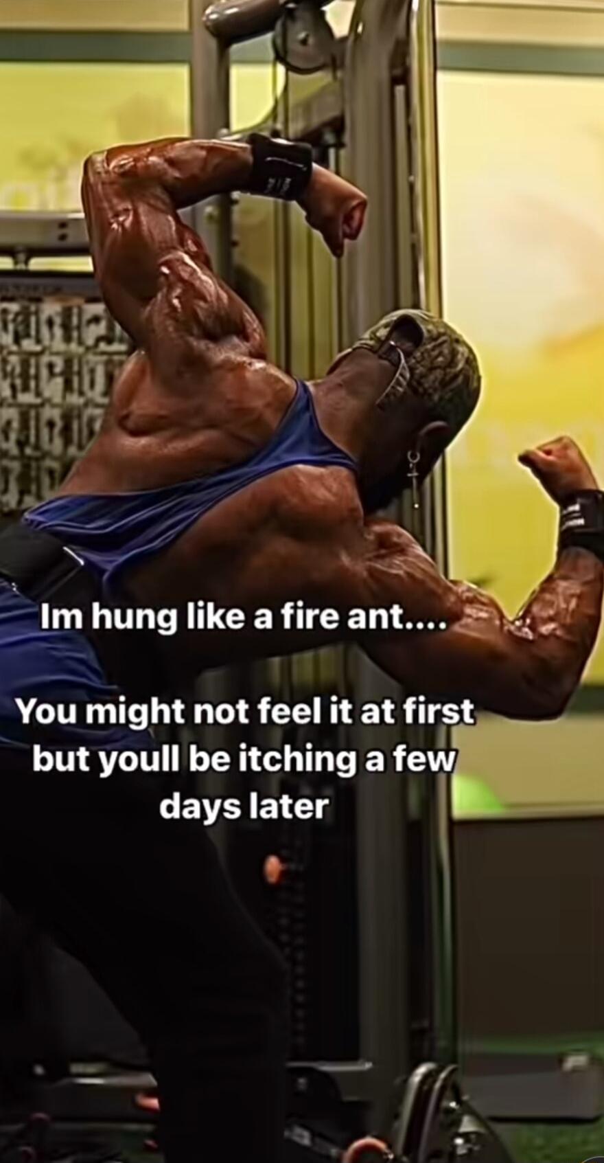 Imhung TCERTEET TR 4 1 Voumight not feel it at first but youll be itching a fevl LEVEIG