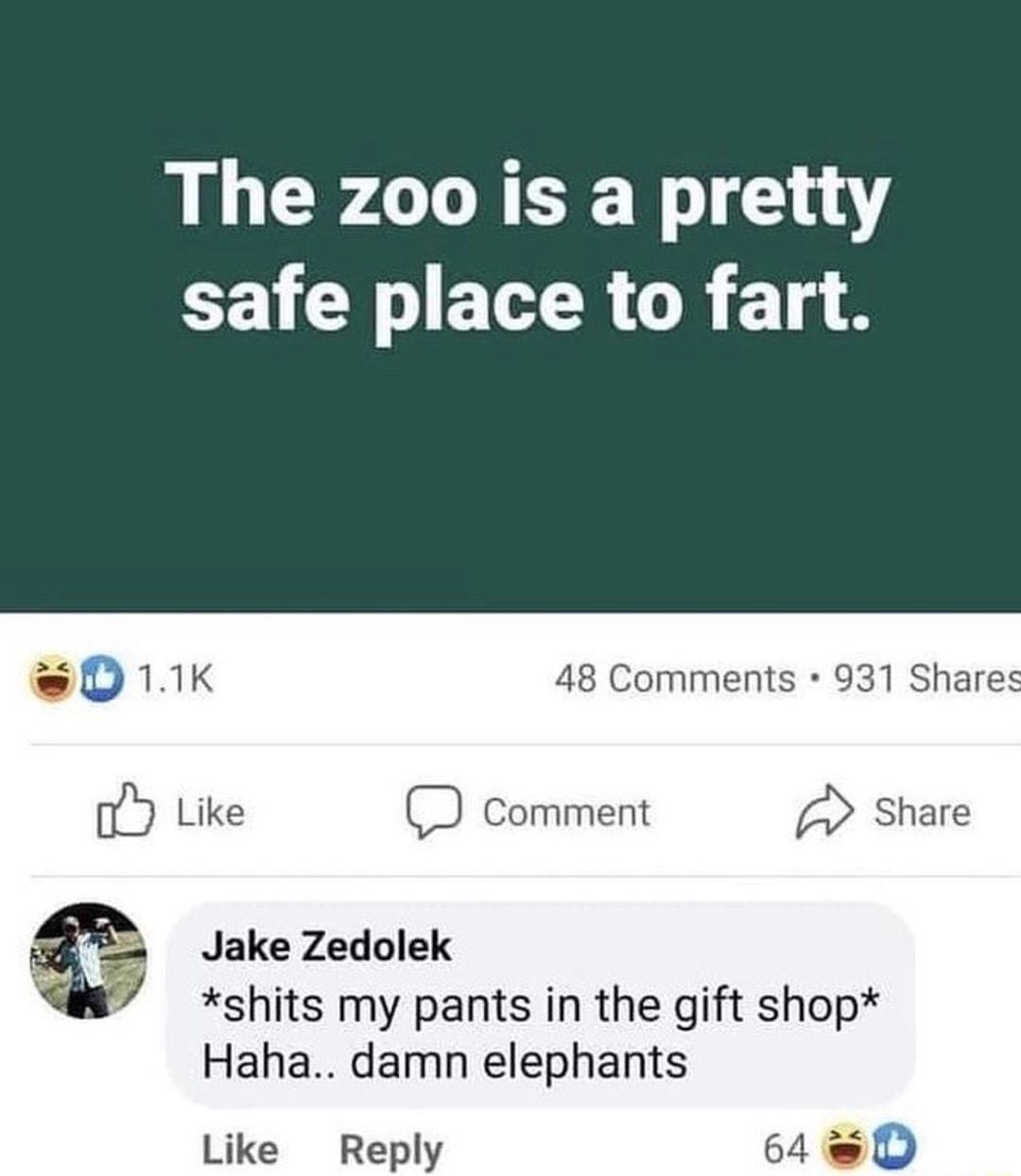 The zoo is a pretty safe place to fart oDk 48 Comments 931 Shares oY Like D comment share Jake Zedolek shits my pants in the gift shop Haha damn elephants Like Reply