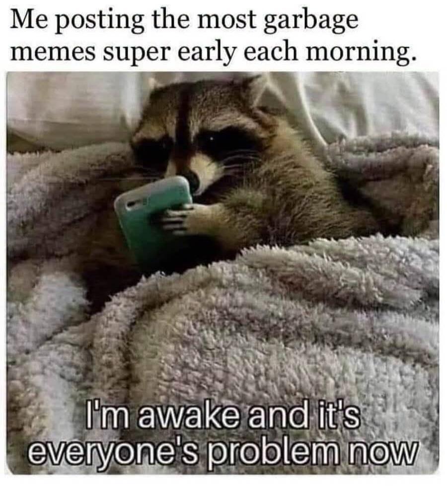 Me posting the most garbage memes super early each morning. I'm awake and it's everyone's problem now