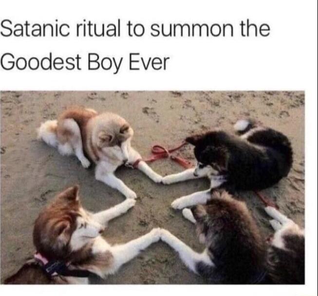 Satanic ritual to summon the Goodest Boy Ever