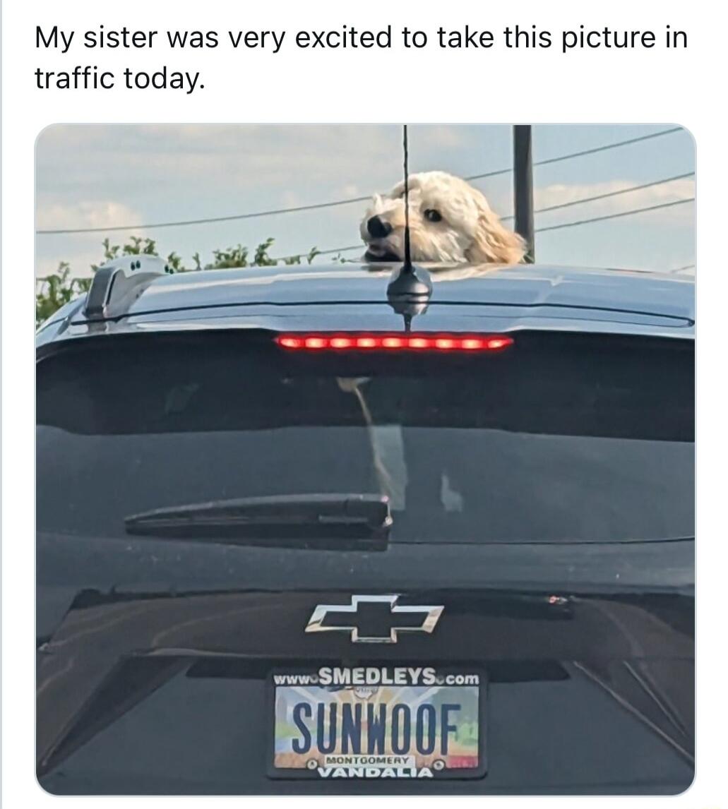 My sister was very excited to take this picture in traffic today SMEDLEYS