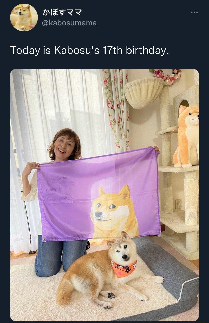 PETIT l umama Today is Kabosus 17th birthday