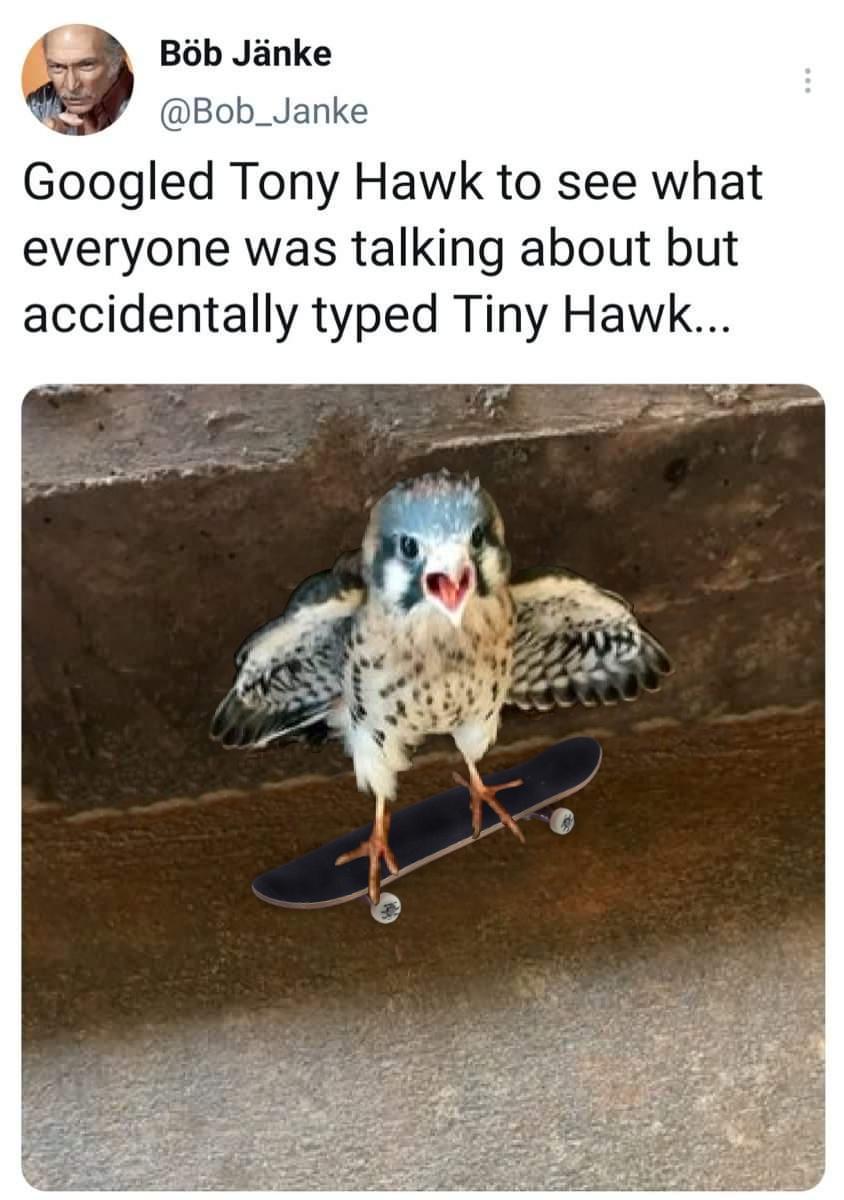 Bob Janke Bob_Janke Googled Tony Hawk to see what everyone was talking about but accidentally typed Tiny Hawk