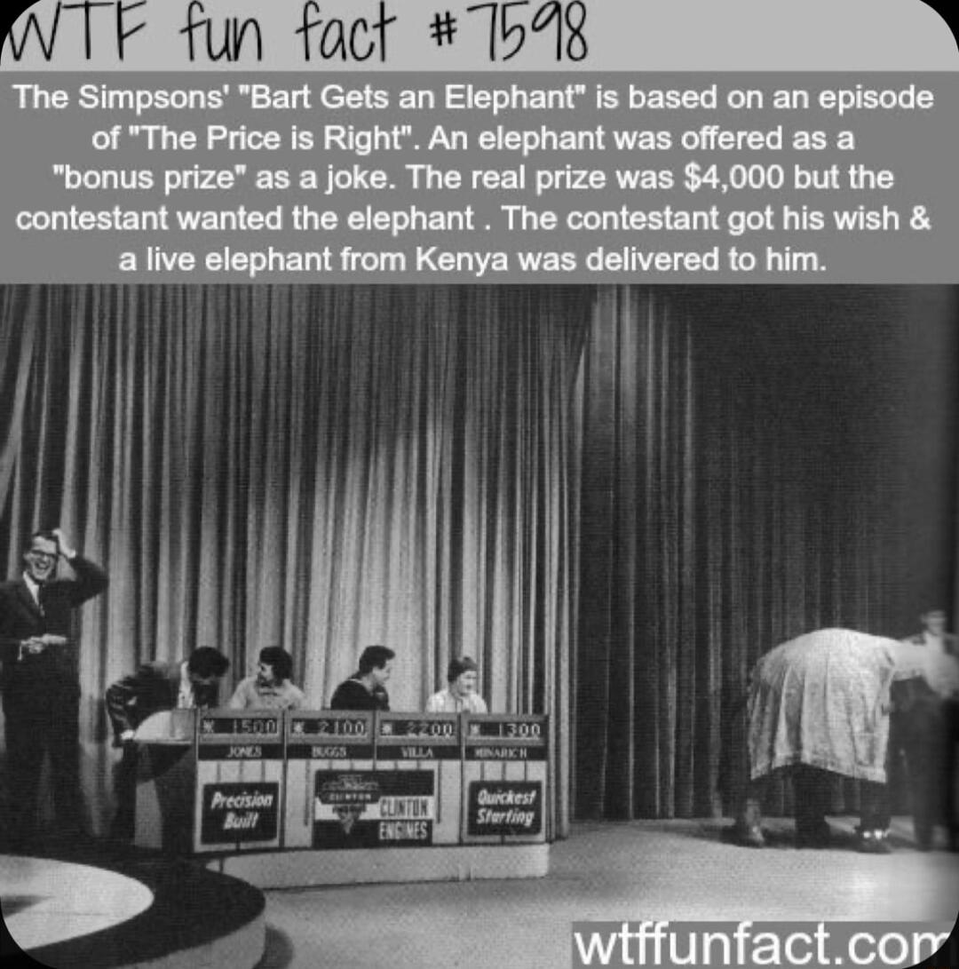 W TF 1un fact 5