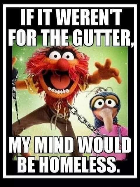 IF IT WEREN'T FOR THE GUTTER, MY MIND WOULD BE HOMELESS.