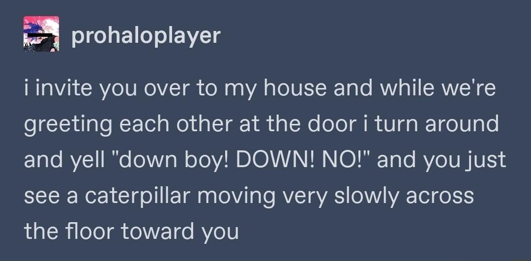 a_ prohaloplayer iinvite you over to my house and while were greeting each other at the door i turn around and yell down boy DOWN NO and you just see a caterpillar moving very slowly across the floor toward you