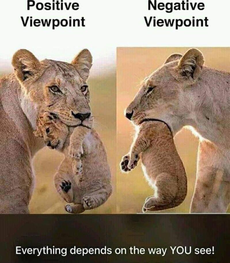 Negative Viewpoint Everything depends on the way YOU see