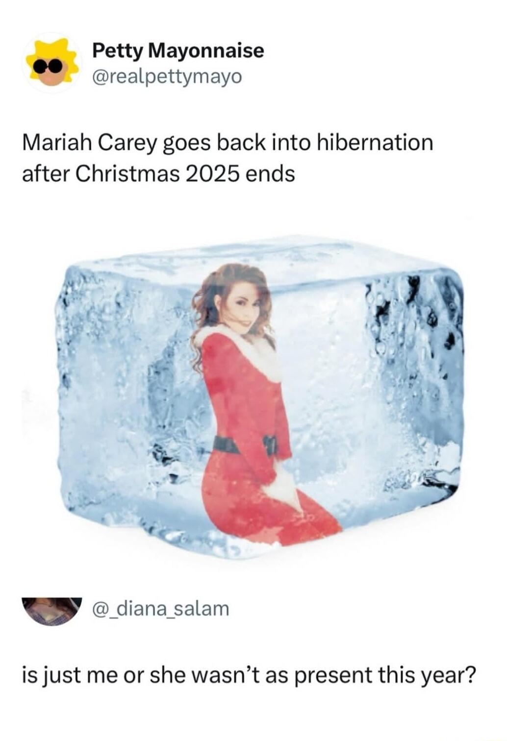 Mariah Carey goes back into hibernation after Christmas 2025 ends

is just me or she wasn’t as present this year?