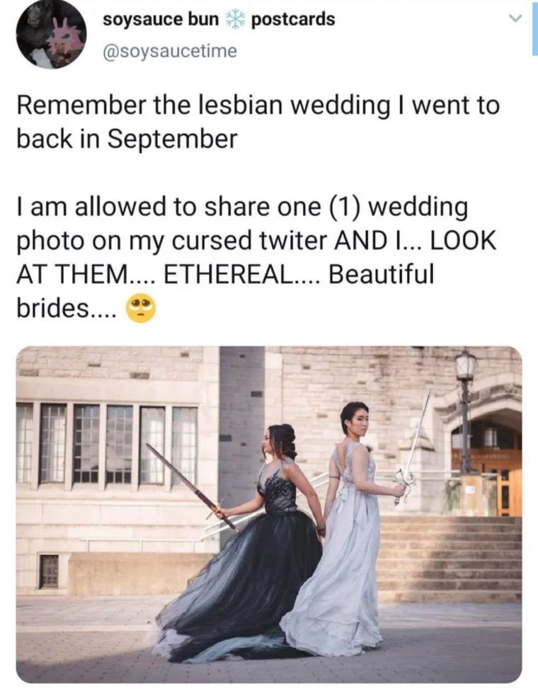 soysauce bun postcards soysaucetime Remember the lesbian wedding went to back in September am allowed to share one 1 wedding photo on my cursed twiter AND I LOOK AT THEM ETHEREAL Beautiful brides e