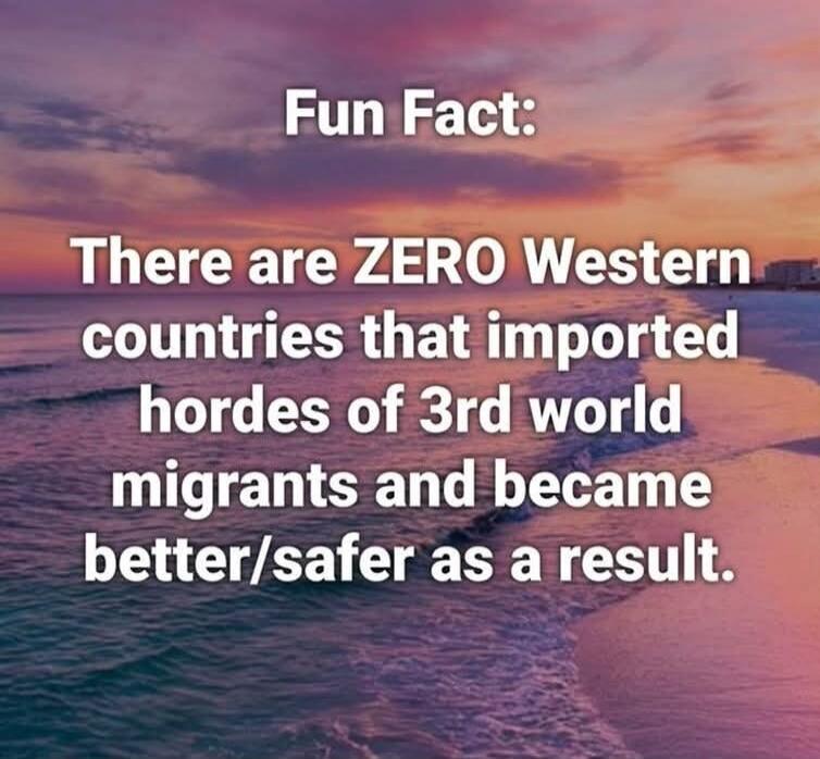 Fun Fact: There are ZERO Western countries that imported hordes of 3rd world migrants and became better/safer as a result.
