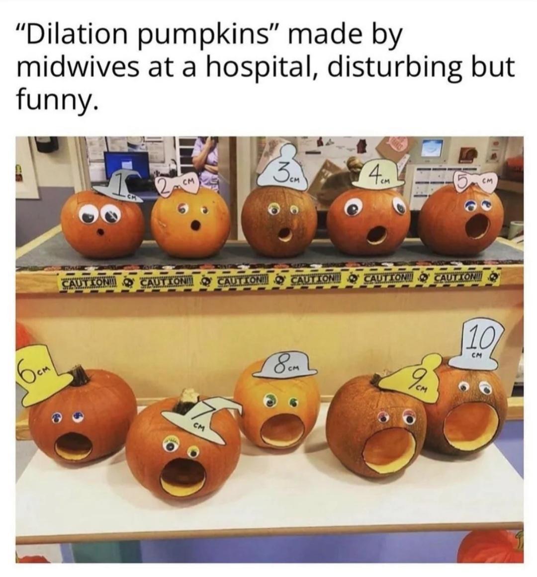 Dilation pumpkins made by midwives at a hospital disturbing but funny
