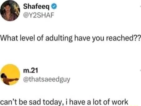 Shafeeq Y2SHAF What level of adulting have you reached m21 thatsaeedguy cant be sad today i have a lot of work