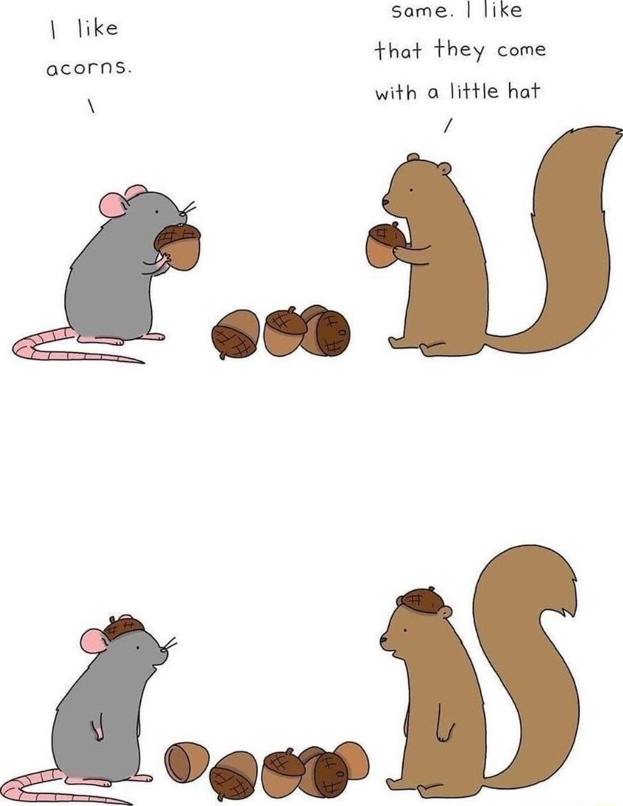 seme like that they come with a little hat 1 o like acorns