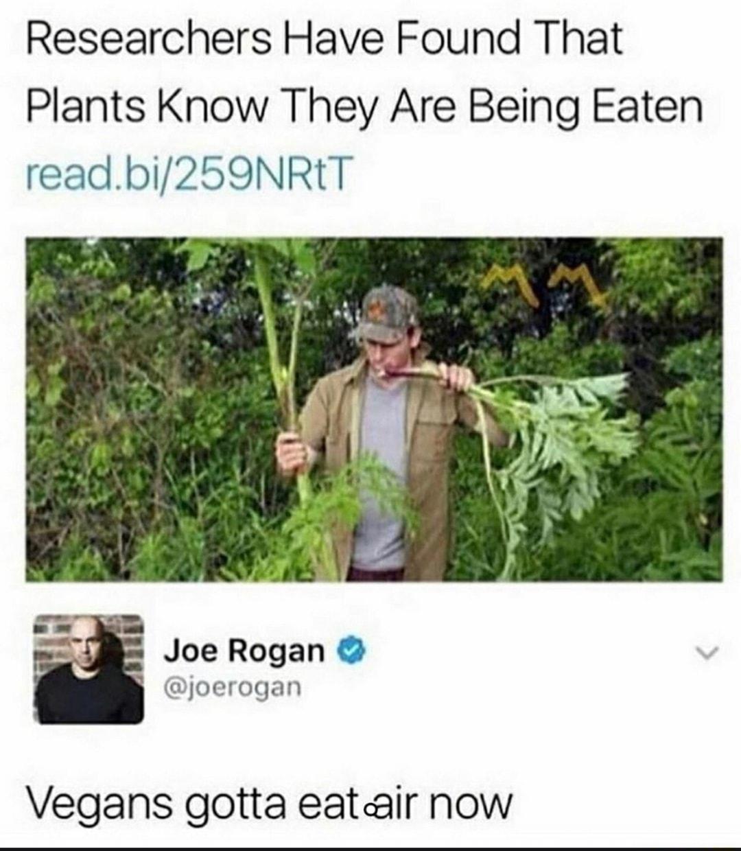 Researchers Have Found That Plants Know They Are Being Eaten readbi259NRtT Joe Rogan joerogan Vegans gotta eatair now