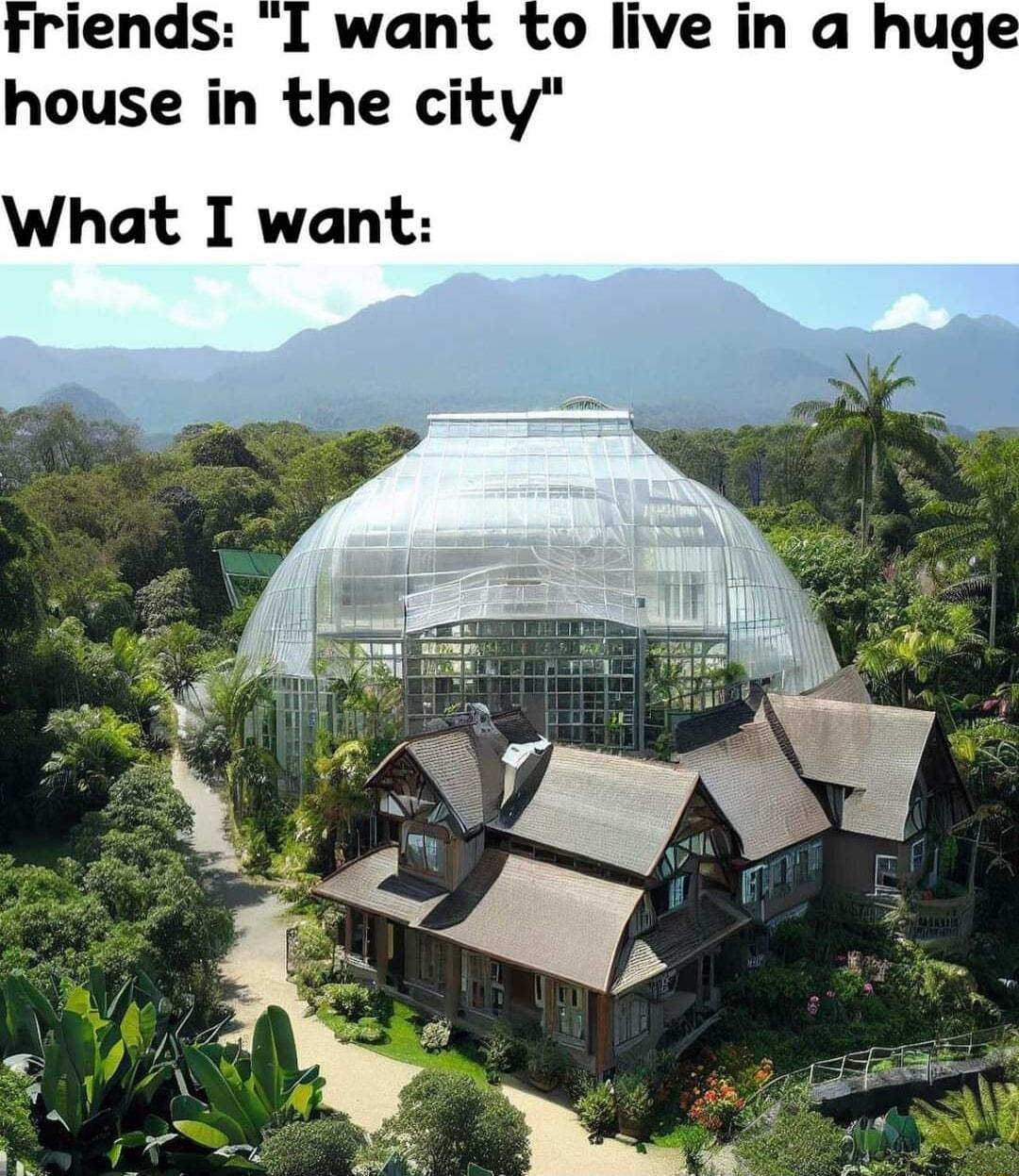 house in the city What I want