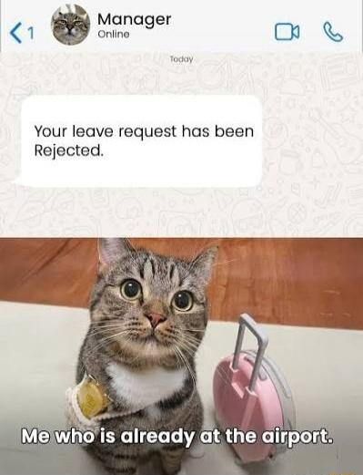 Manager Online Your leave request has been Rejected. Me who is already at the airport.
