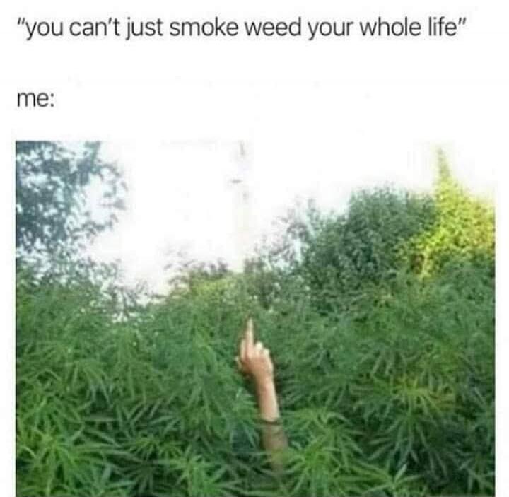 you can't just smoke weed your whole life me: