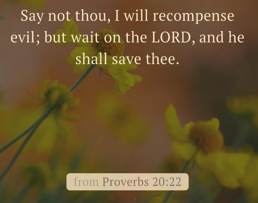 Say not thou, I will recompense evil; but wait on the LORD, and he shall save thee. from Proverbs 20:22