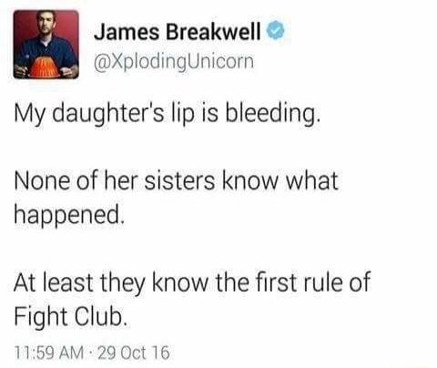 3 James Breakwell XplodingUnicorn My daughters lip is bleeding None of her sisters know what happened At least they know the first rule of Fight Club 1159 AM 29 Oct 16