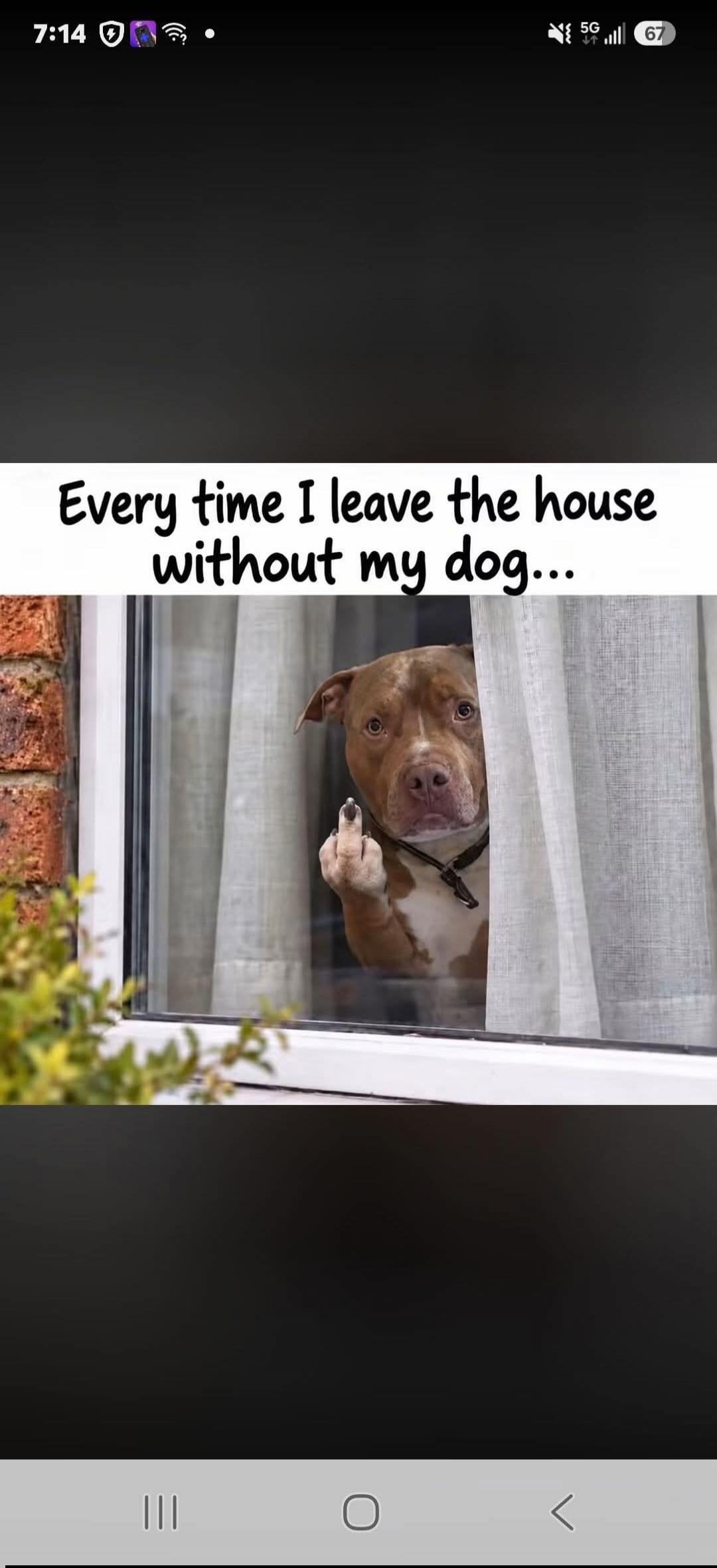 Every time I leave the house without my dog...