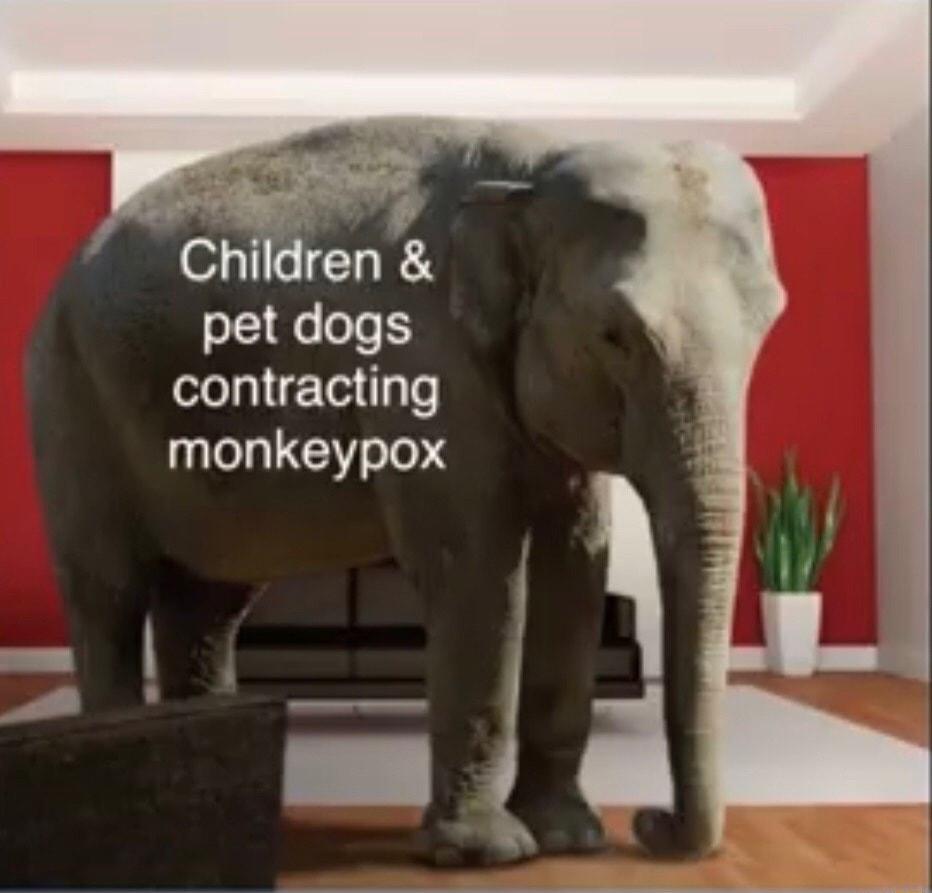 Children pet dogs contracting UILLE T EJ e