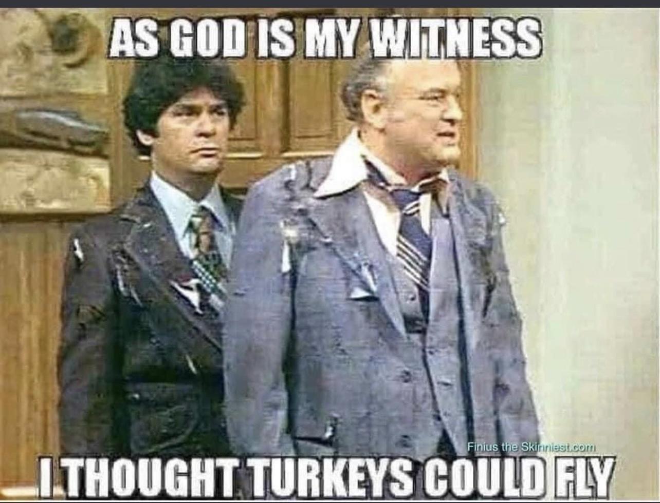 lns GOD IS MY Wi nss B _ITHOUGHT TURKEYS COULDIFLY