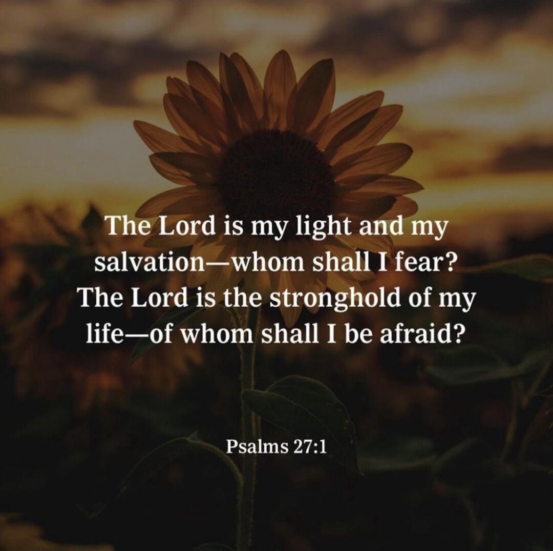 The Lord is my light and my salvation—whom shall I fear? The Lord is the stronghold of my life—of whom shall I be afraid? Psalms 27:1