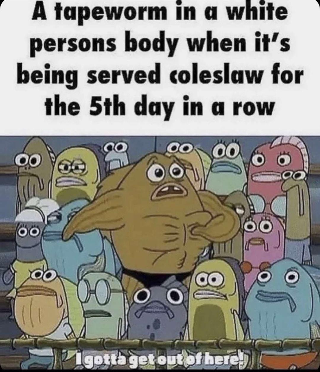 A tapeworm in a white persons body when its being served coleslaw for the 5th day in a row LA i i _ o lgfh ggogil hereY