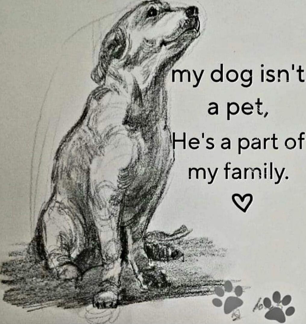 my dog isn't a pet, He's a part of my family.