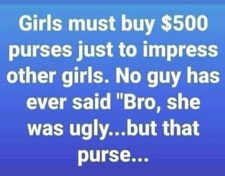 Girls must buy $500 purses just to impress other girls. No guy has ever said 