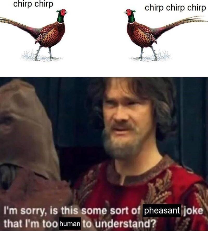 chirp chirp chirp Im sorry is thissome sort of pheasant joke LUT TR B LGRS GRVIT T E T