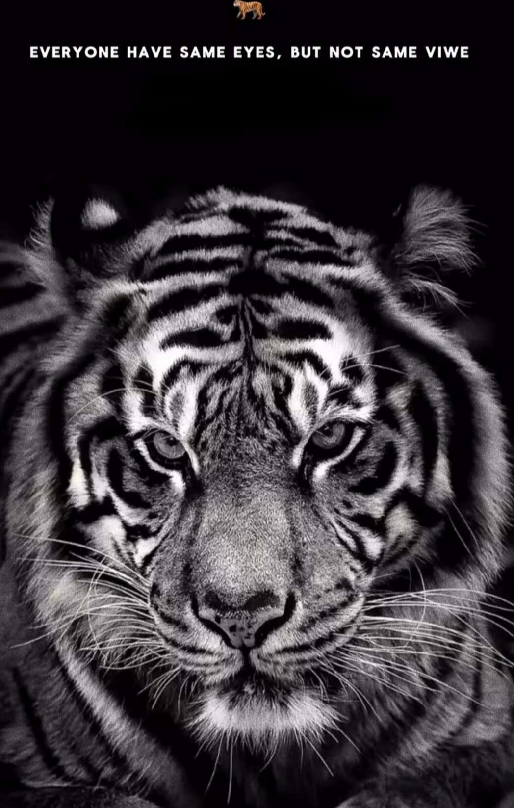 EVERYONE HAVE SAME EYES, BUT NOT SAME VIVE