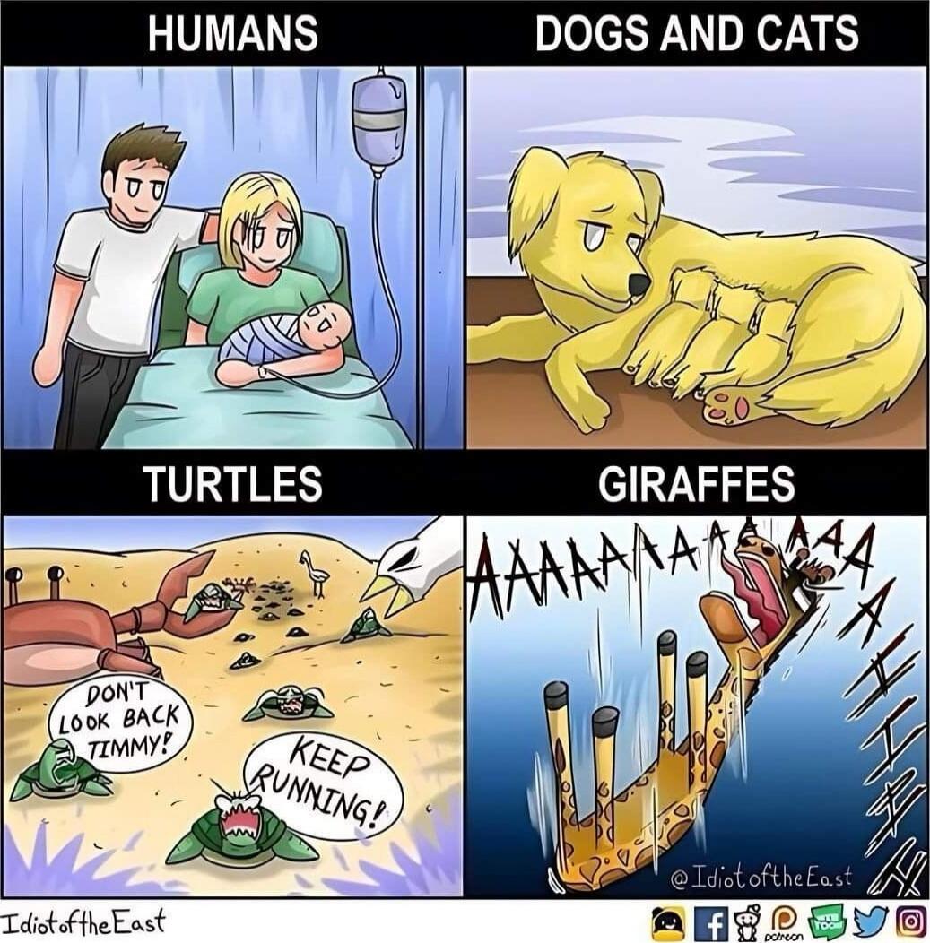 HUMANS
DOGS AND CATS
TURTLES
GIRAFFES

Dont look back Timmy!
KEEP RUNNING!
AAAAAA