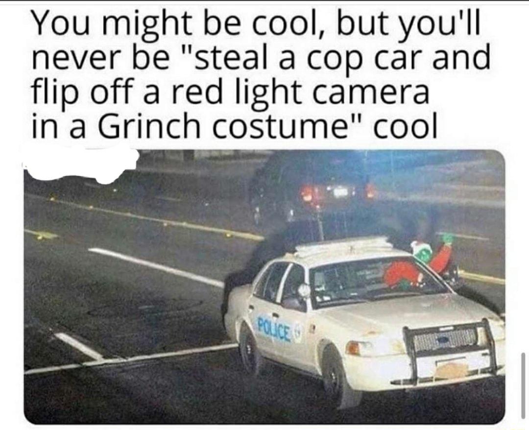 You might be cool but youll never be steal a cop car and flip off a red light camera in a Grinch costume coo Et