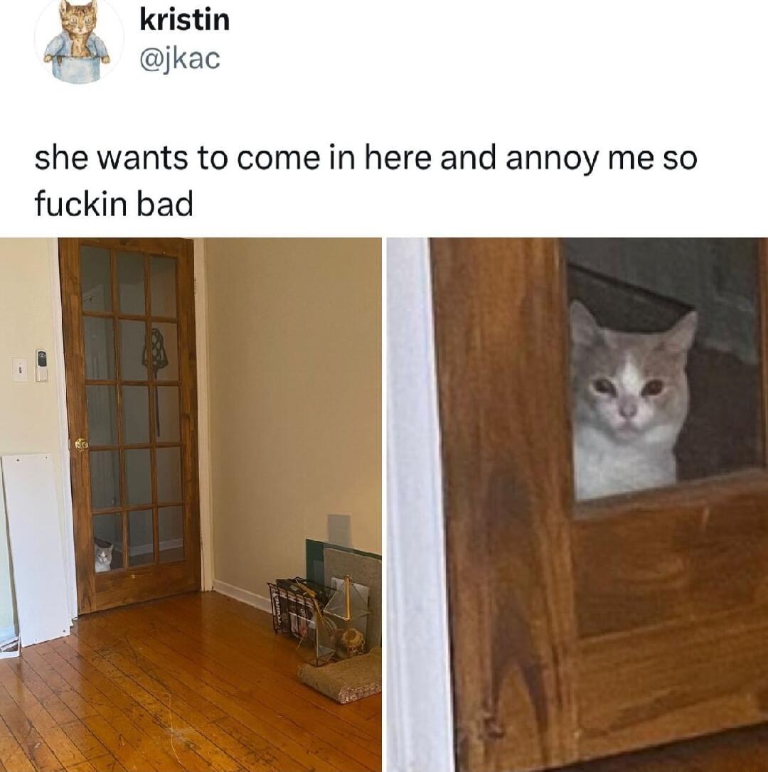 she wants to come in here and annoy me so fuckin bad