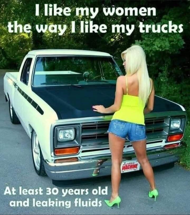 I like my women the way I like my trucks At least 30 years old and leaking fluids