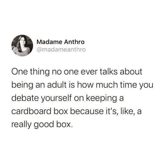 0 Madame Anthro 5 madameanthr One thing no one ever talks about being an adult is how much time you debate yourself on keeping a cardboard box because its like a really good box