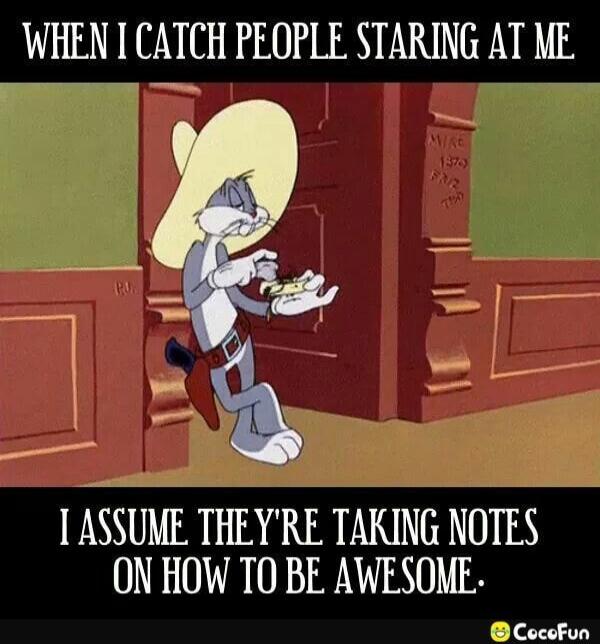 WHEN I CATCH PEOPLE STARING AT ME
I ASSUME THEY'RE TAKING NOTES ON HOW TO BE AWESOME.