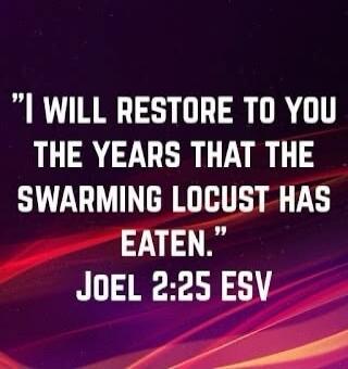 I WILL RESTORE TO YOU THE YEARS THAT THE SWARMING LOCUST HAS EATEN. JOEL 2:25 ESV