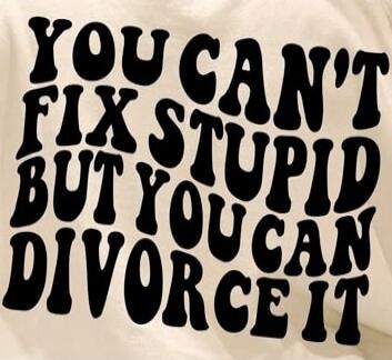 YOU CAN'T FIX STUPID BUT YOU CAN DIVORCE IT