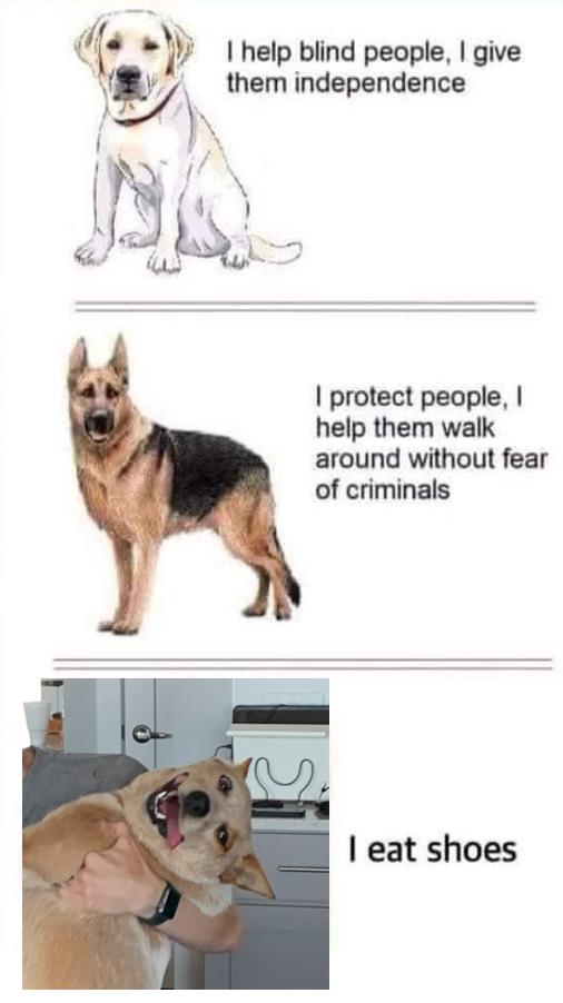 i help blind people give f them independence A S A protect people help them walk around without fear of criminals eat shoes