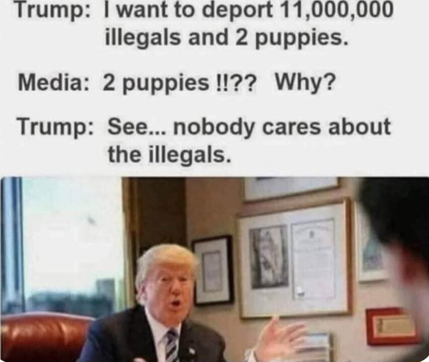 Trump want to deport 11000000 illegals and 2 puppies Media 2 puppies 1 Why Trump See nobody cares about the illegals