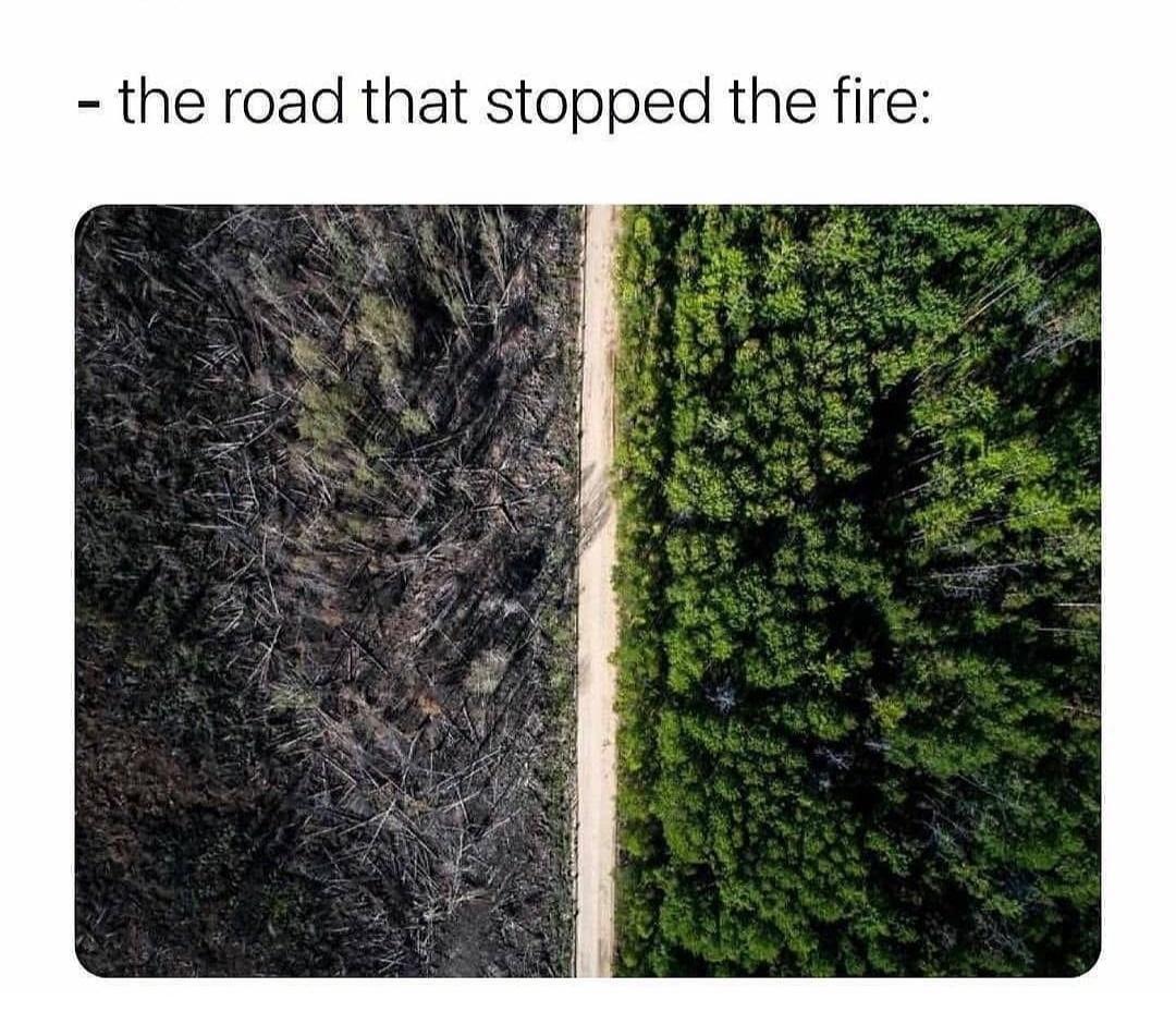 the road that stopped the fire