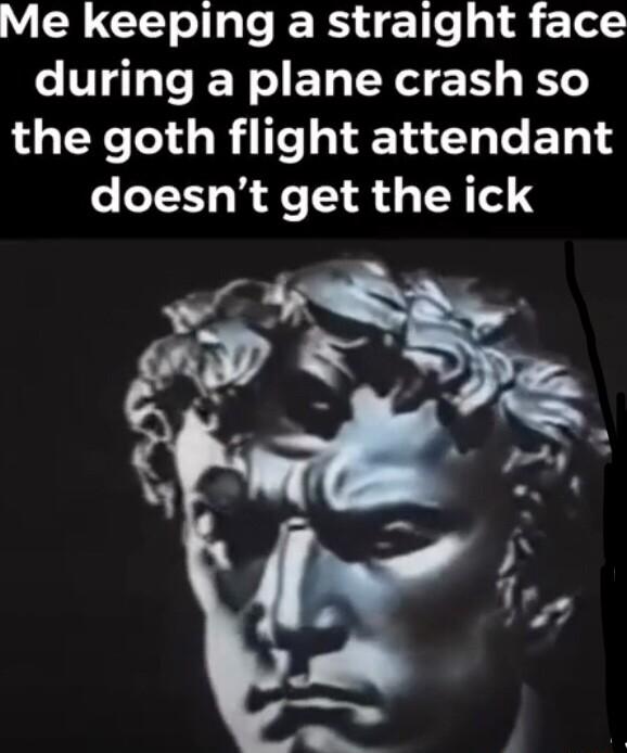 Me keeping a straight face during a plane crash so the goth flight attendant doesnt get the ick