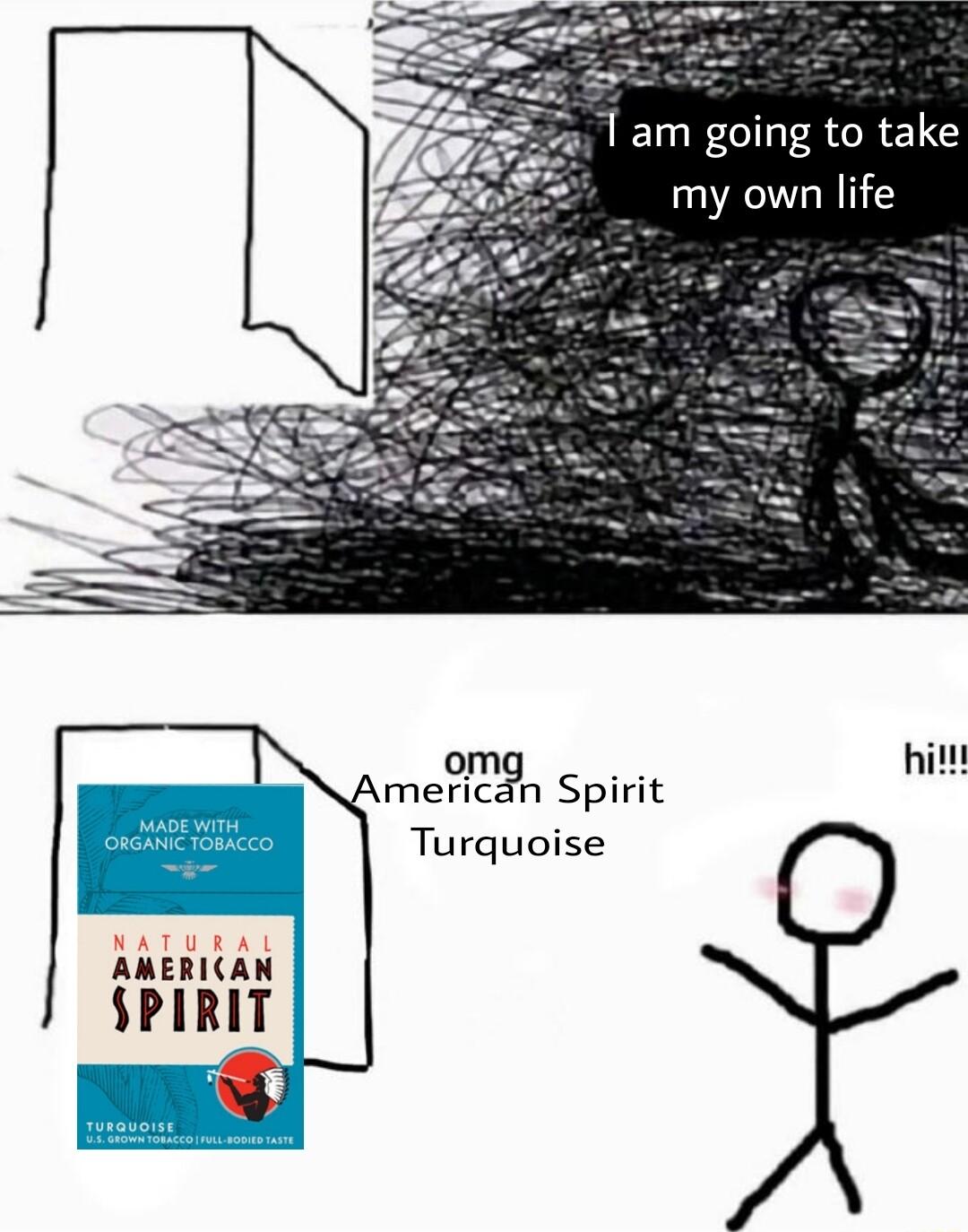 am going to take my own life om hitt metitgh Spirit Turquoise