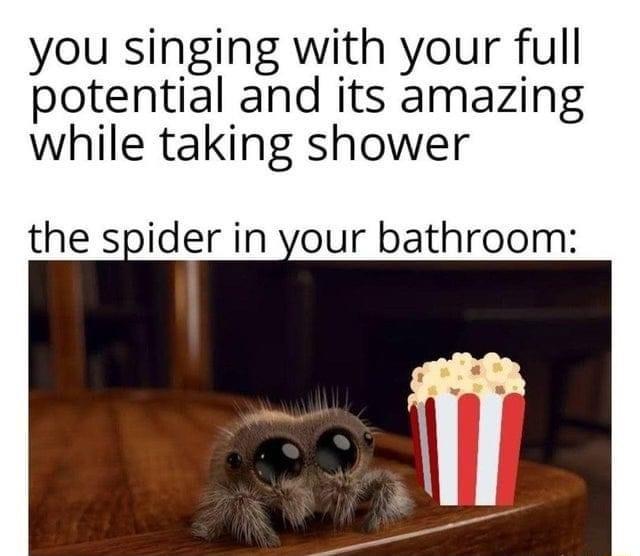 you singing with your full potential and its amazing while taking shower the spider in your bathroom